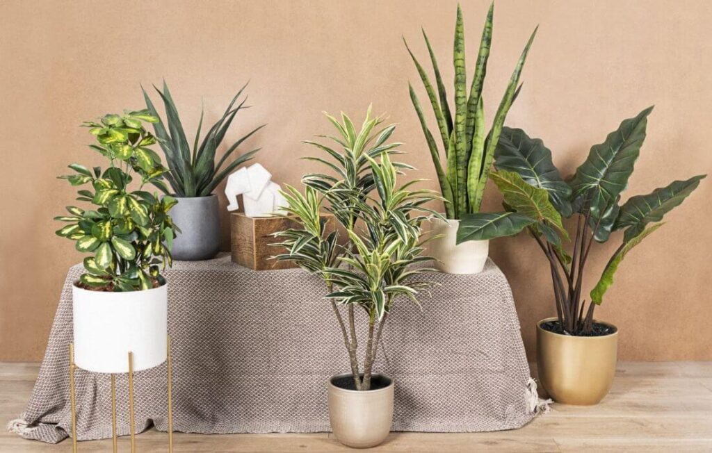Améliorez votre décoration intérieure avec les plantes artificielles Easyplants